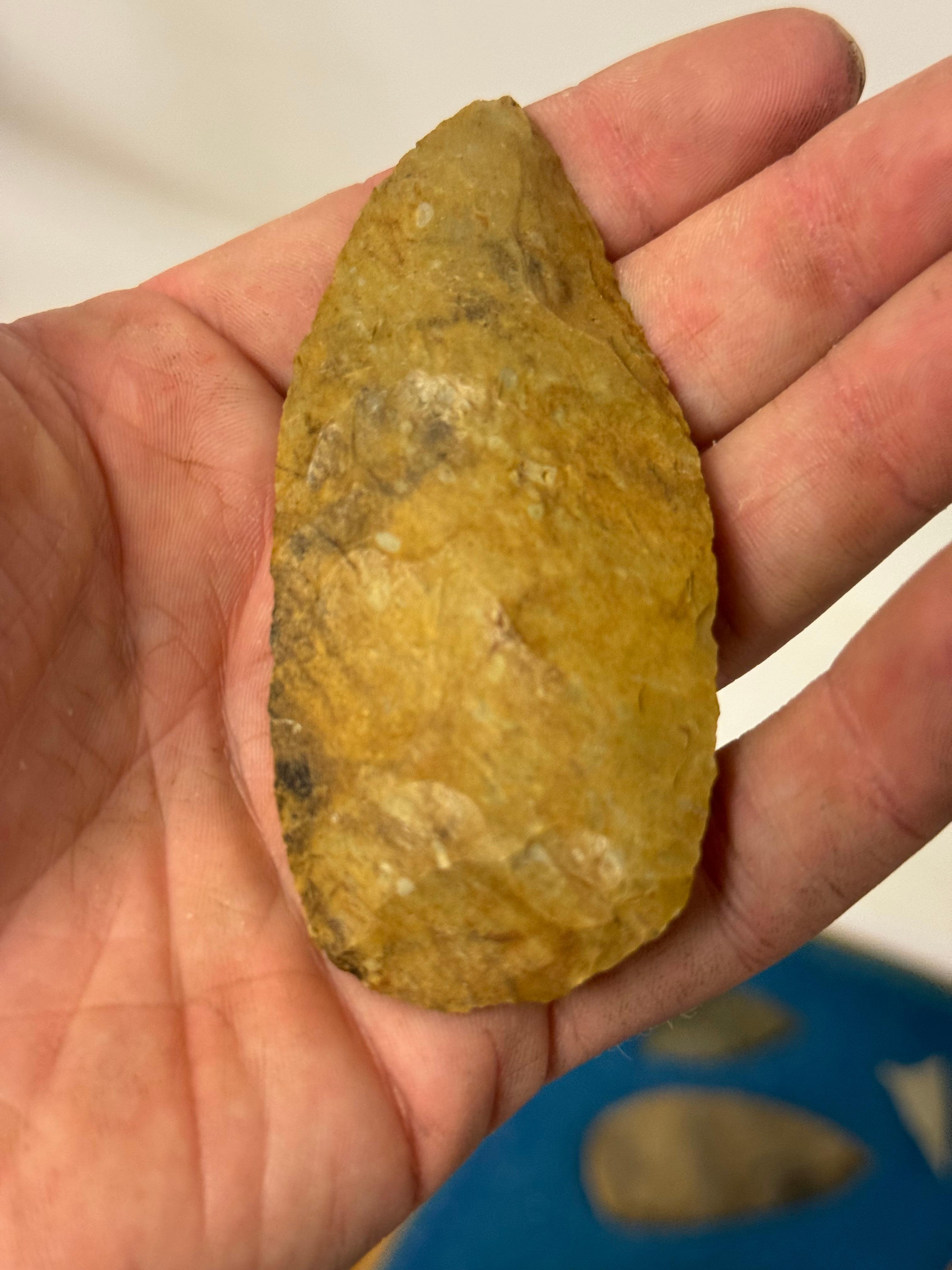 33pc. Curated Ancient Native American Projectile Point Cased Display from North Alabama