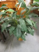 Large Artificial Peace Lily in Woven Planter Basket
