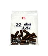 15rds. of .22 REM. AUTO Factory Ammunition 