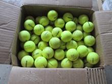 200 Yellow Titleist Practice Golf Balls