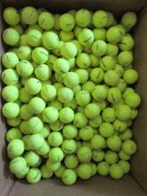 200 Yellow Titleist Practice Golf Balls