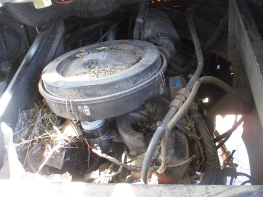 2000 Bluebird Millennium S/A School Bus,