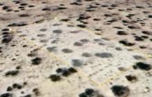 10,890 Sq Ft Vacant Lot In Kern County California,
