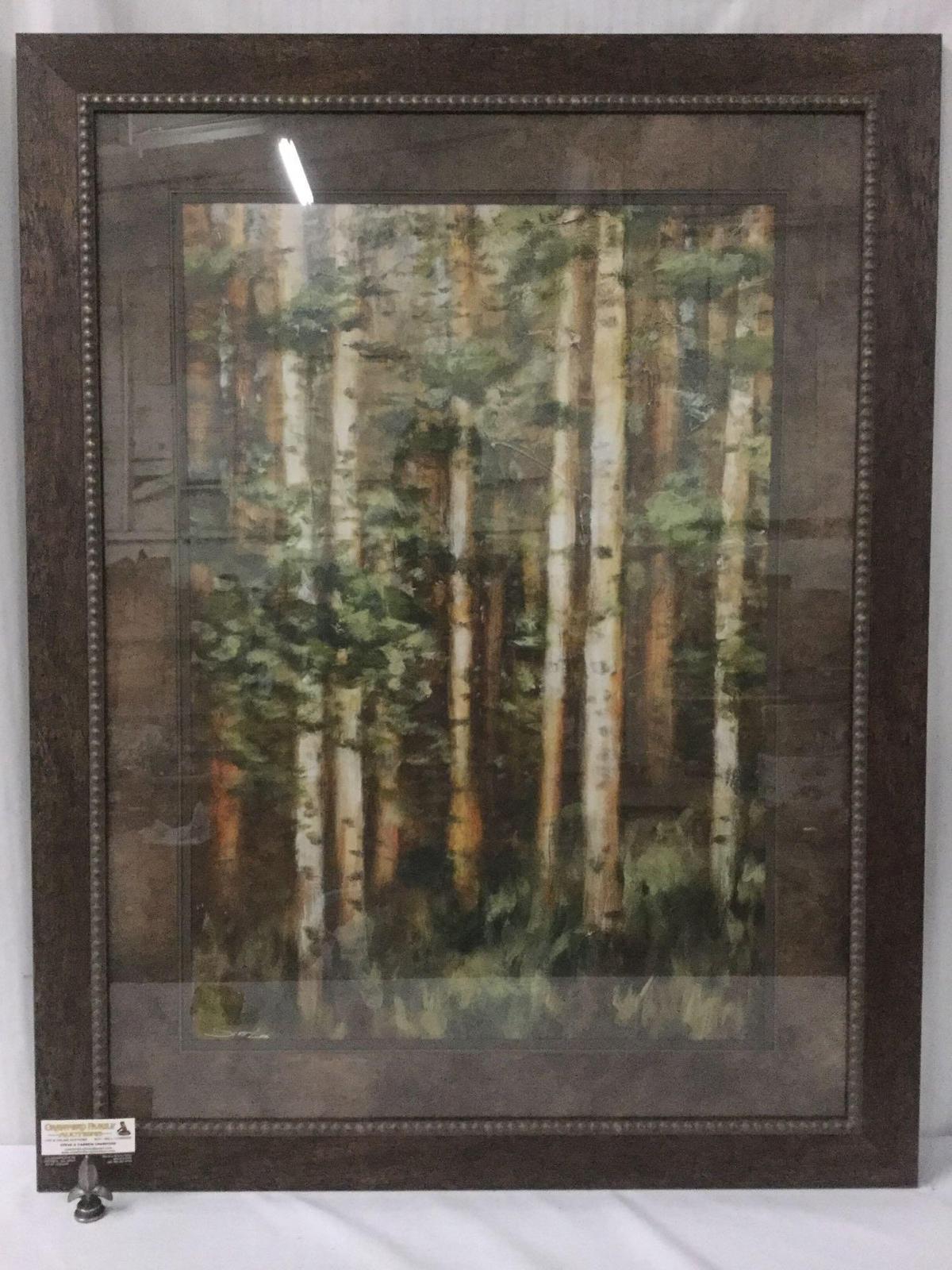 Framed fine art print - "Aspen Beauty II" showing a forest scene signed by artist Scott Lee