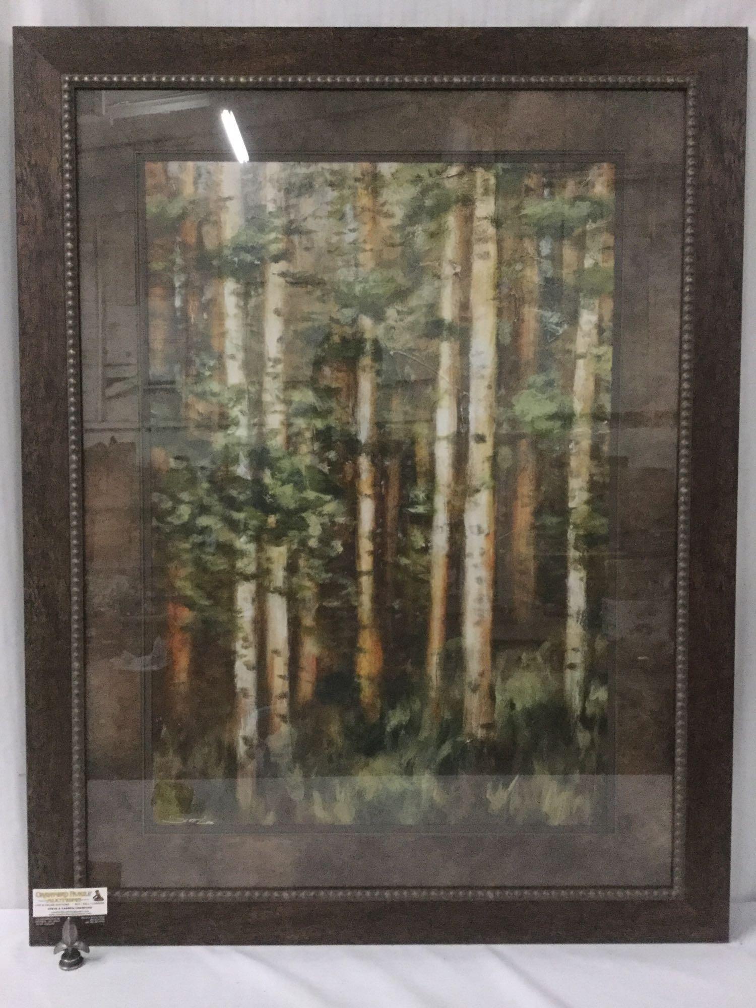 Framed fine art print - "Aspen Beauty II" showing a forest scene signed by artist Scott Lee