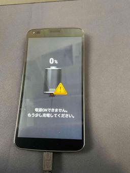 LG G Flex Smartphone