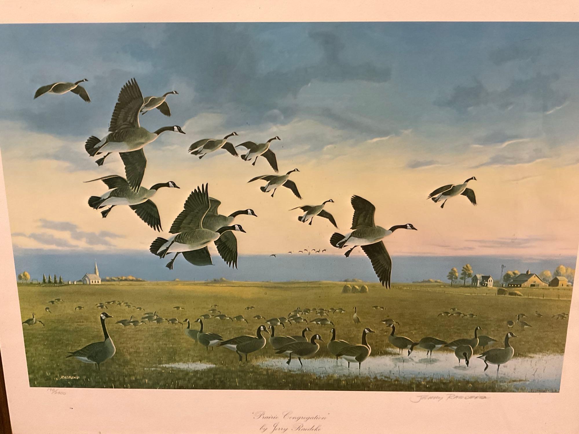 Framed Print of Prairie Congregation by Jerry Raedeke, signed and #d 198/2400 Lithograph
