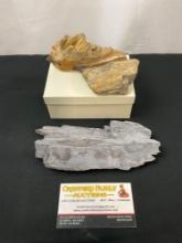 Trio of Petrified Wood Pieces, 2x Yellowed Brown and 1x Slate Gray