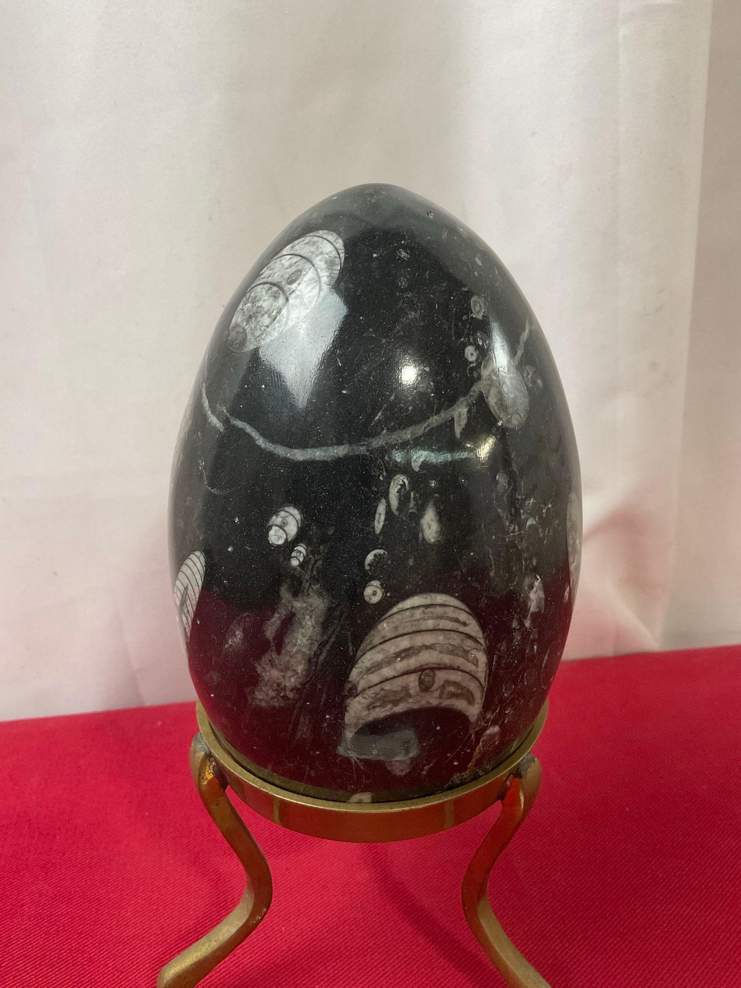 Polished Marble Egg w/ Orthoceras Fossil Inclusions, Brass three prong stand, 8.5 inches tall