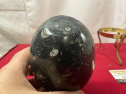 Polished Marble Egg w/ Orthoceras Fossil Inclusions, Brass three prong stand, 8.5 inches tall