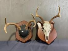 Pair of Deer Antlers on Wooden Plaques, measures 12h x 12.5w x 14d inches