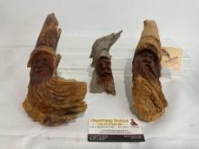 Three Vintage Handcarved KnotPerfect Wooden Carving faces, by Dan & Holly Owens