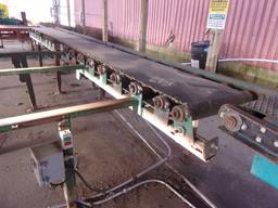24" X 20' POWERED ROLL W/BELT & ELECT DRV