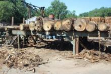 6' x 21' 2 Strand Log Deck w/Stop N Load, Elec Dr