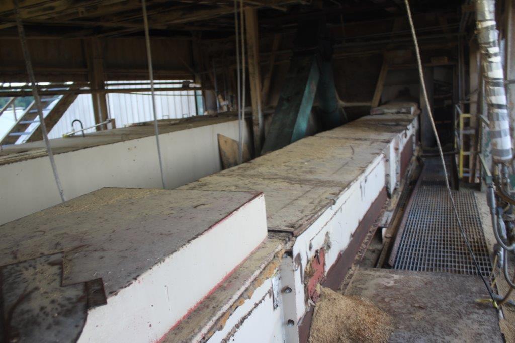 Single Chain Drag Conveyor 30" x 50' -Located on top of Live Bottom Bins