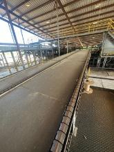 Collector/Transfer Deck 3 Strand 6ft 6inch X 15ft With M78A Roof Top Chain, Electric Drive