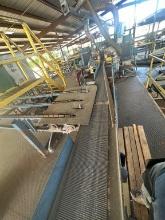 Belt Conveyor (Infeed )12inch X 13ft X 6inch Tall Sides, Electric Drive(Part Of Slab Recovery System