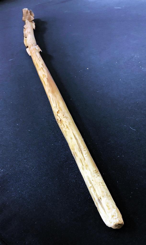 Diamond Willow Carved Folk Art Swagger Stick - 30"