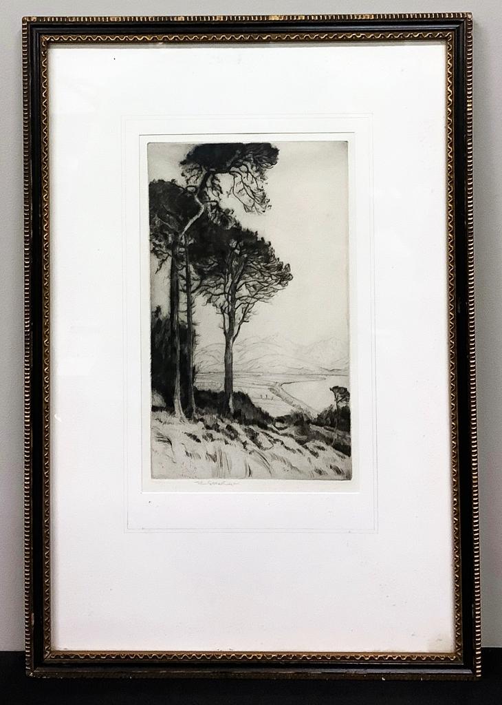 John G. Mathieson Dry Point - Landscape W/ Trees, Signed Lower Middle, Fram