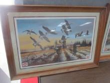 Schmidt Beer Pheasant Framed Series Prints- 2