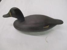 Delaware River Hen Blue Bill