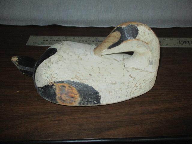 Eider Wood Duck Decoy - 14" Long