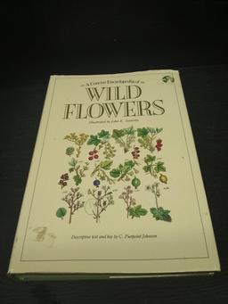 Coffee Table Book-Encyclopedia of Wild Flowers 1989 DJ