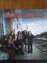LP Album-Lynyrd Skynyrd