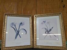 Pair Framed Contemporary Prints-Flowers