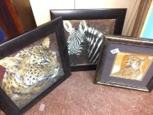 Collection 3 African Animal Theme Prints