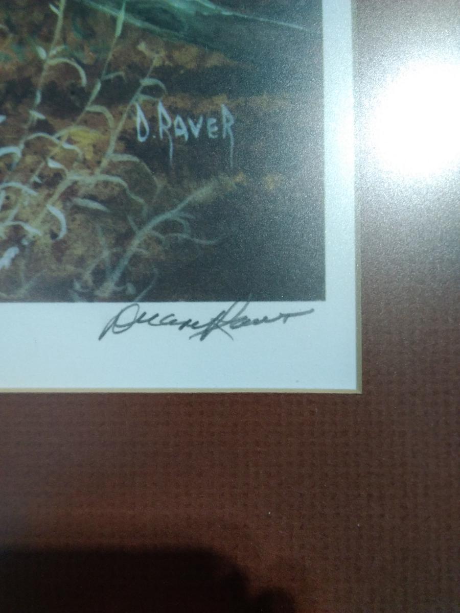 Framed and Matted Print-Pheasants and Friends signed D. Raver 1673/4000