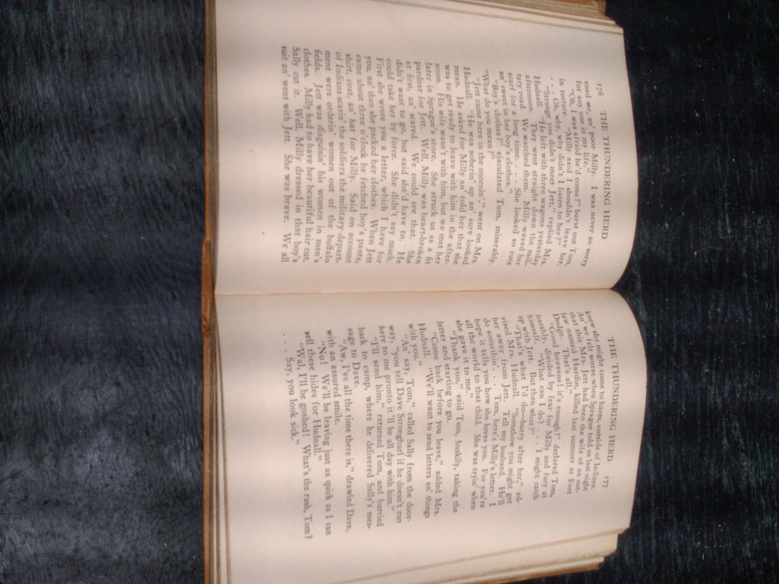Vintage Book-The Thundering Herd 1925