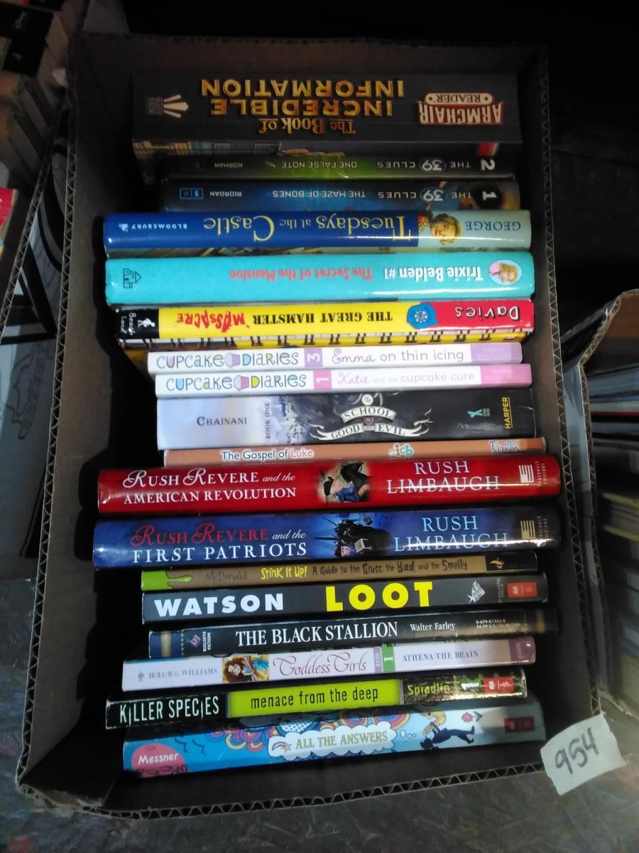 BL-Assorted Children's  Books