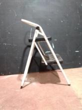Warehouse-Cosco Folding Step Stool