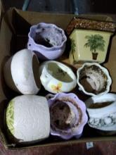 BL-Assorted Planters
