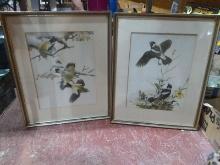 Pair Vintage Framed Prints-Birds