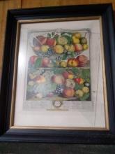 Framed Anniversary Fruit Print-September