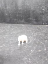 Elephant Home Decor-Ivory