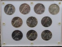 COMPLETE CHOICE BU PEACE DOLLAR YEAR SET