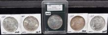 5 HIGH GRADE MORGAN  DOLLARS