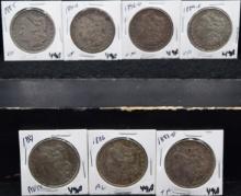 7 MIXED DATE & MINT MORGAN DOLLARS
