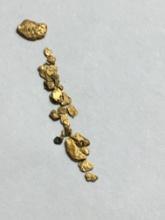 Gold Nuggets Lot Alaskan Yellow Top End 20 Kt+ .149 Grams