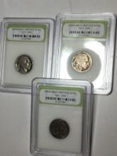 Slabbed Buffalo Nickels Lot Of 3