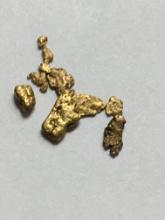 Gold Nuggets Alaskan Yellow Top End .164 Grams Chunky 20 Kt+