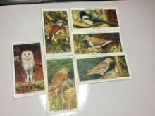 1930 Players Cigarette Cards Wild Birds