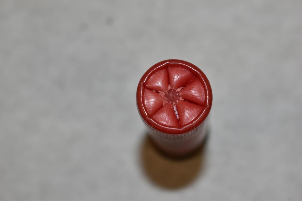 Ammo. 10 ga. 00 Buck. 25 RDS.