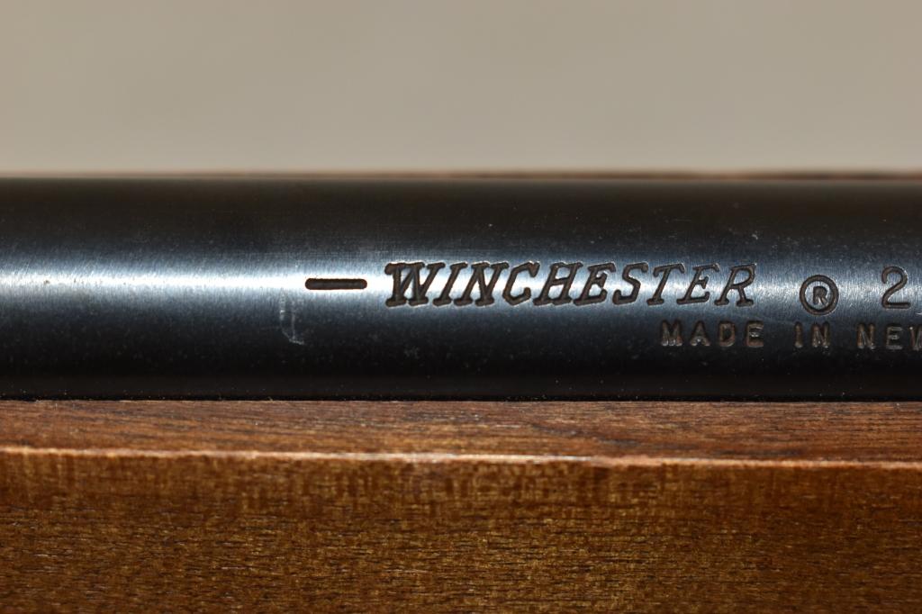 Gun. Winchester Model 190 22 LR cal Rifle