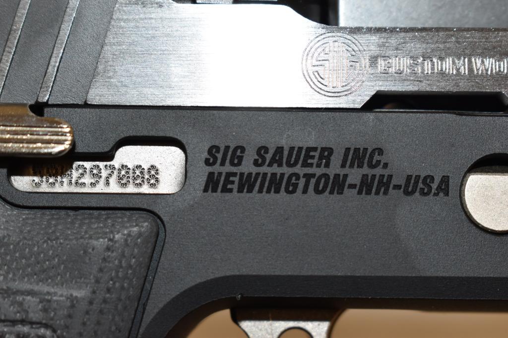 Gun. Sig Sauer Model P320 9mm Pistol