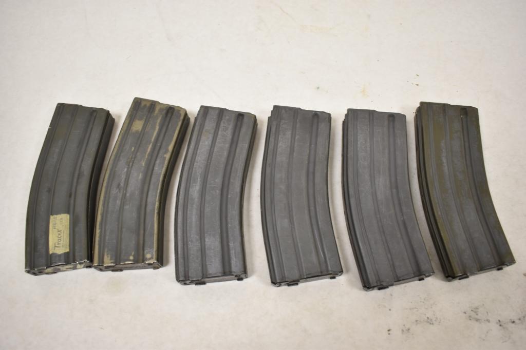 Six AR15 Magazines & Case