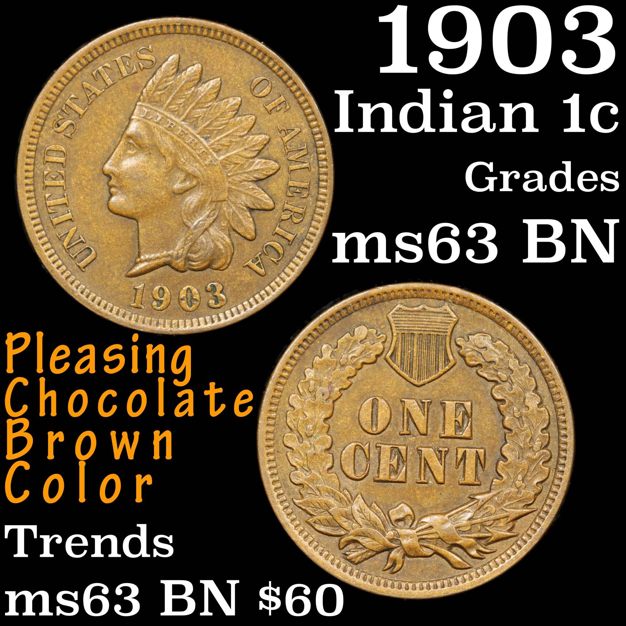1903 Indian Cent 1c Grades Select Unc BN